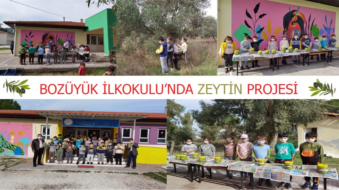 Bozüyük İlkokulu'nda Zeytin Projesi